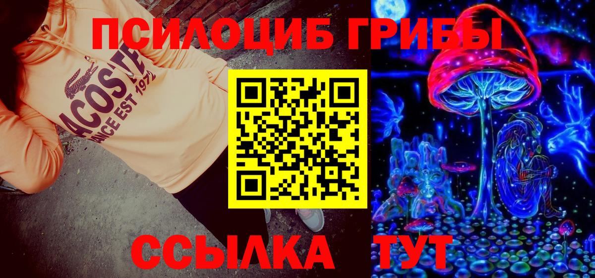 Галлюциногенные грибы Cubensis Надым